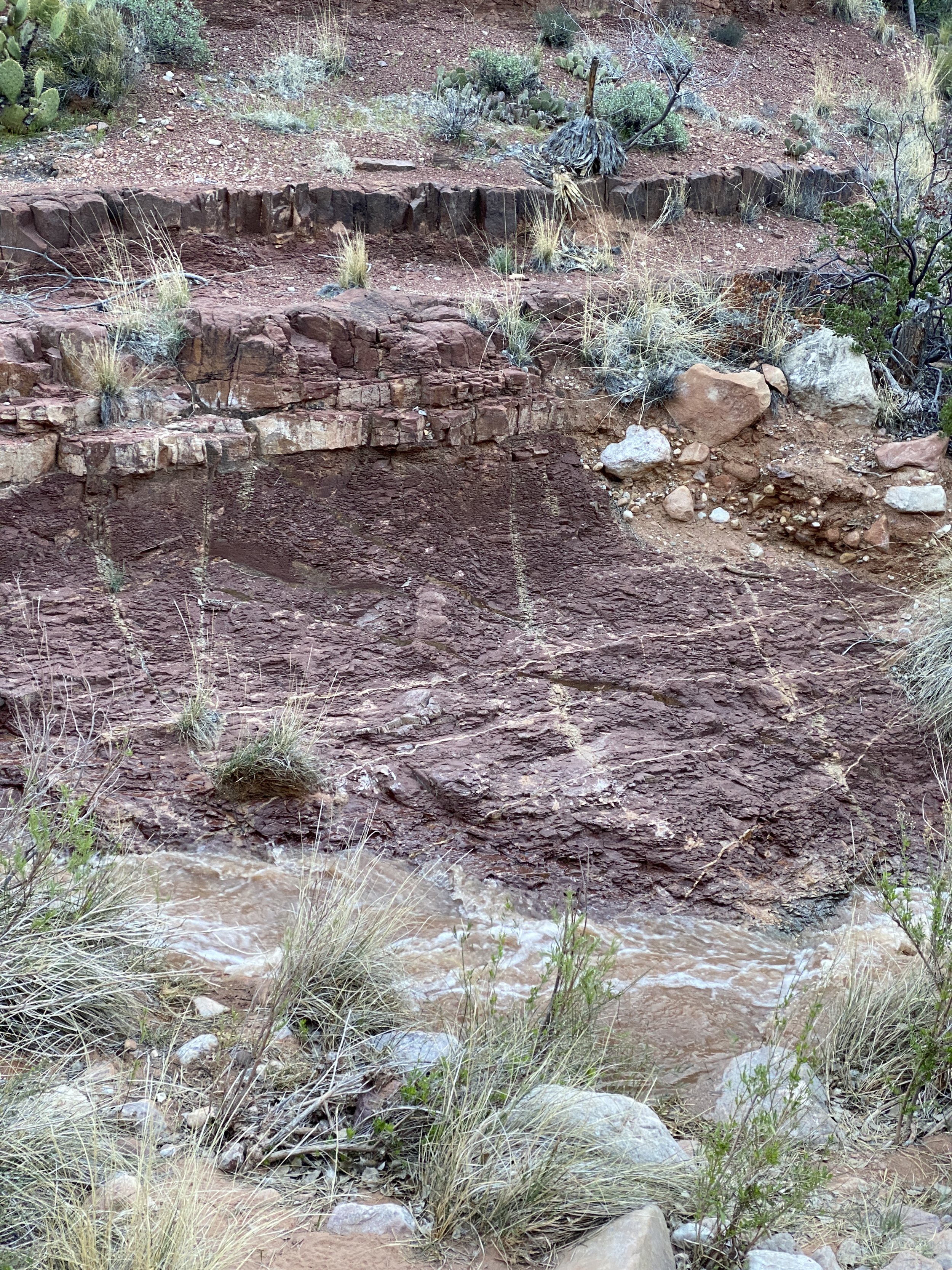 Sediment-filled water a day later 