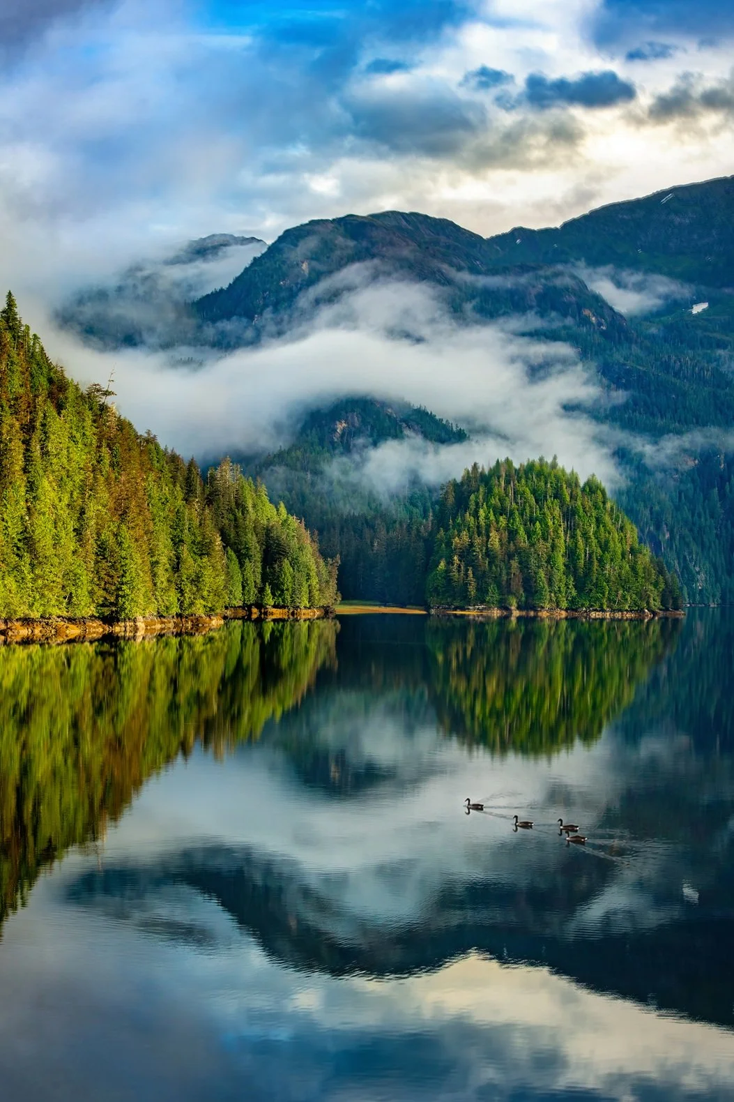 Misty Fjords 5.jpg