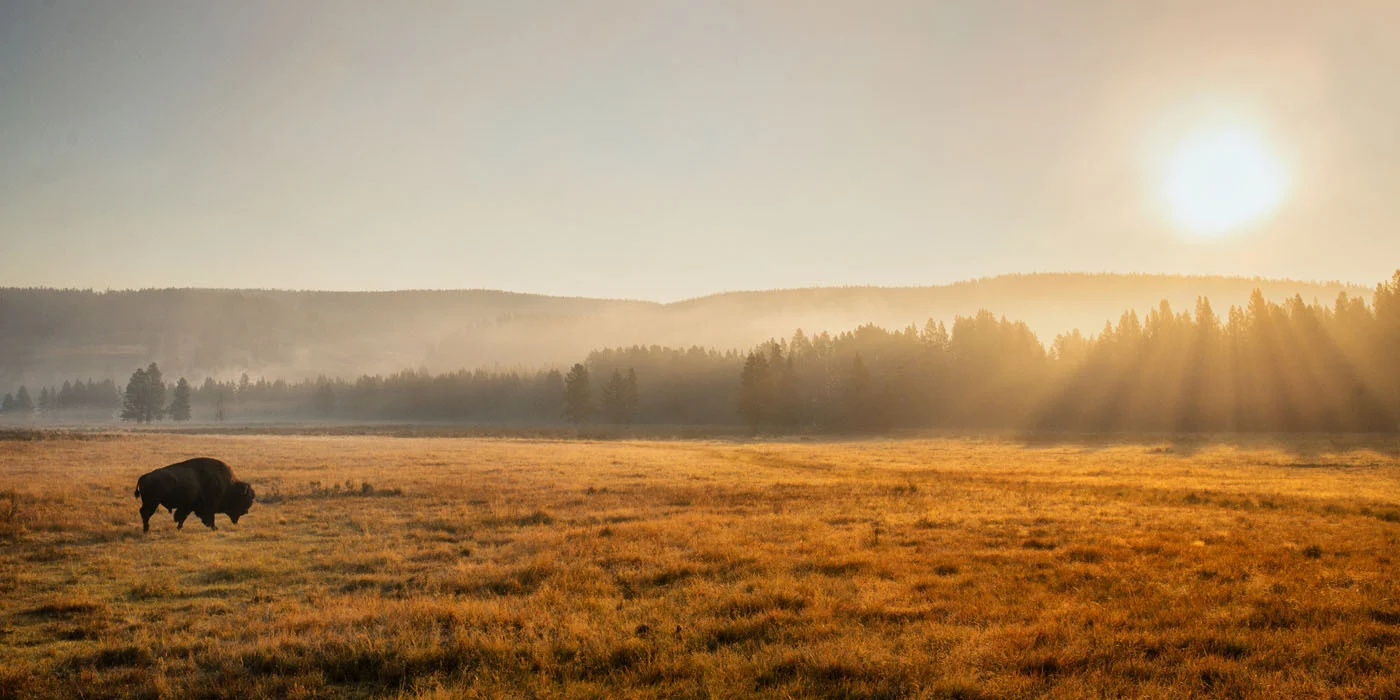 Yellowstone Mist.jpg