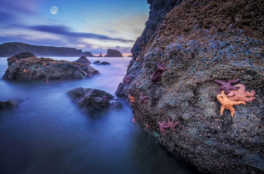 Oregon Coast MOON3.jpg