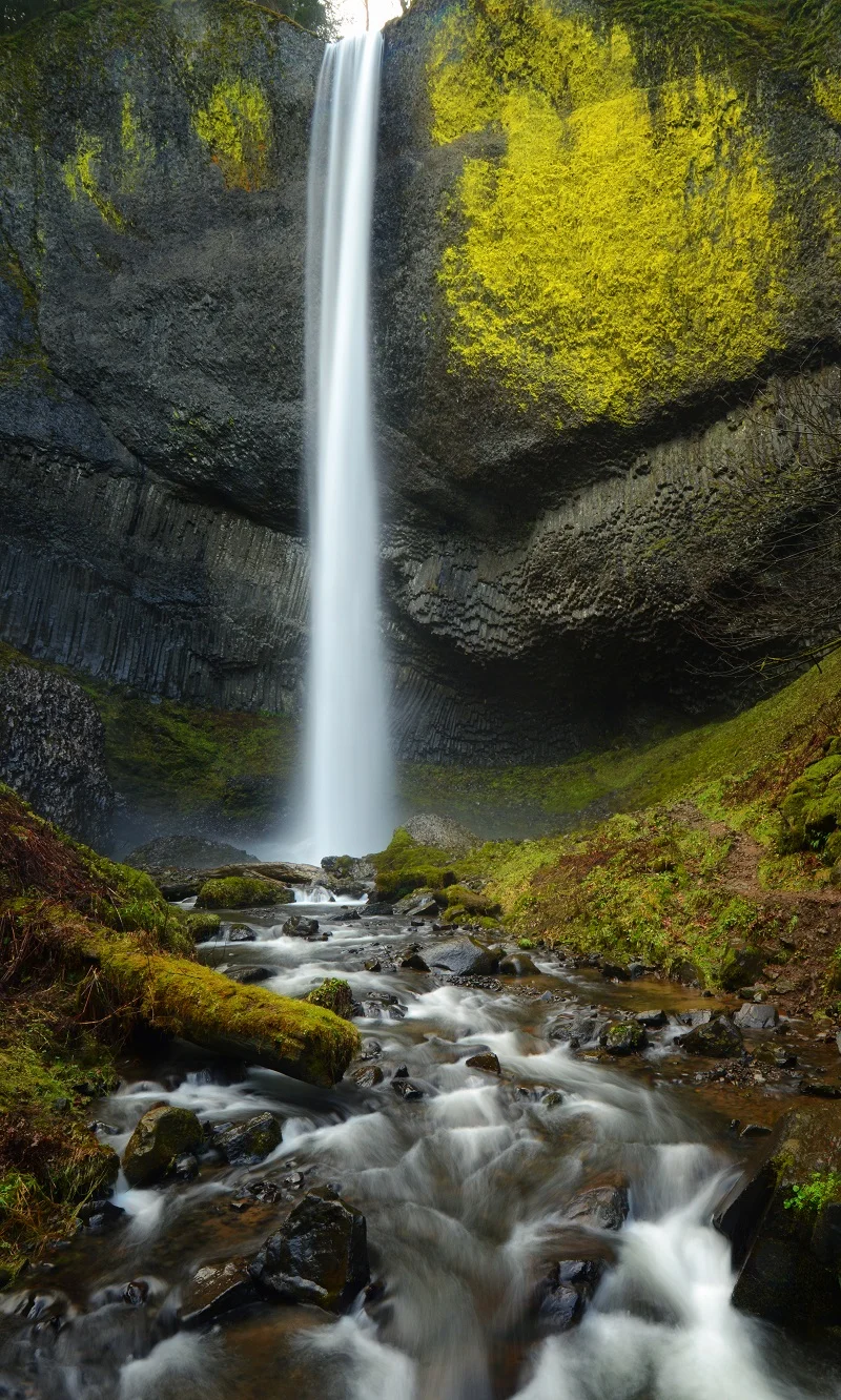 Oregon Bliss.jpg