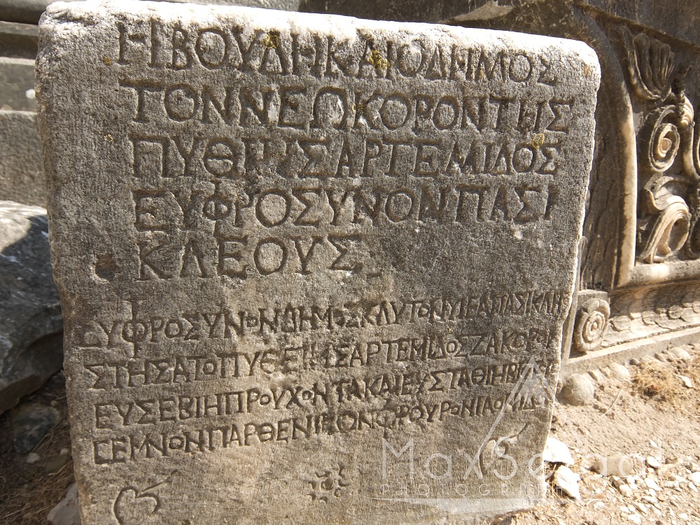 I've been captivated by all the ancient Greek texts... 