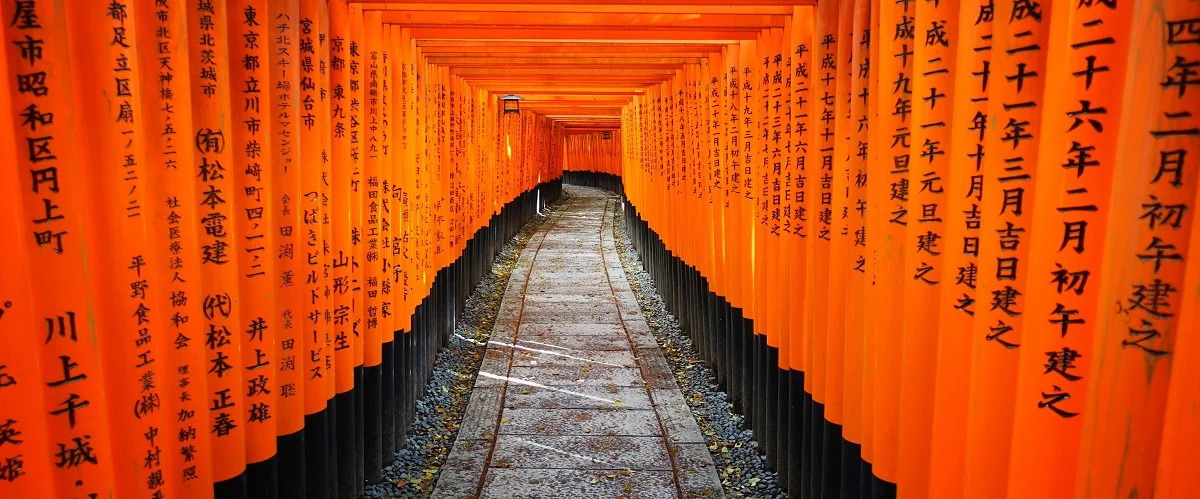 Temple Path.jpg