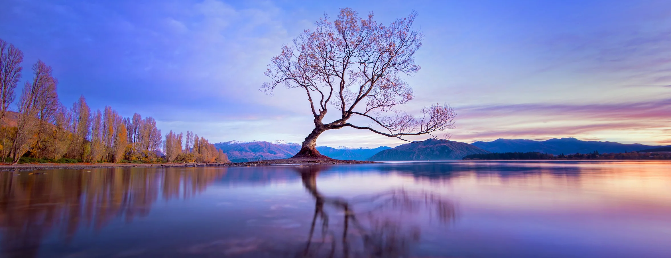 Enchantment 52x20.jpg