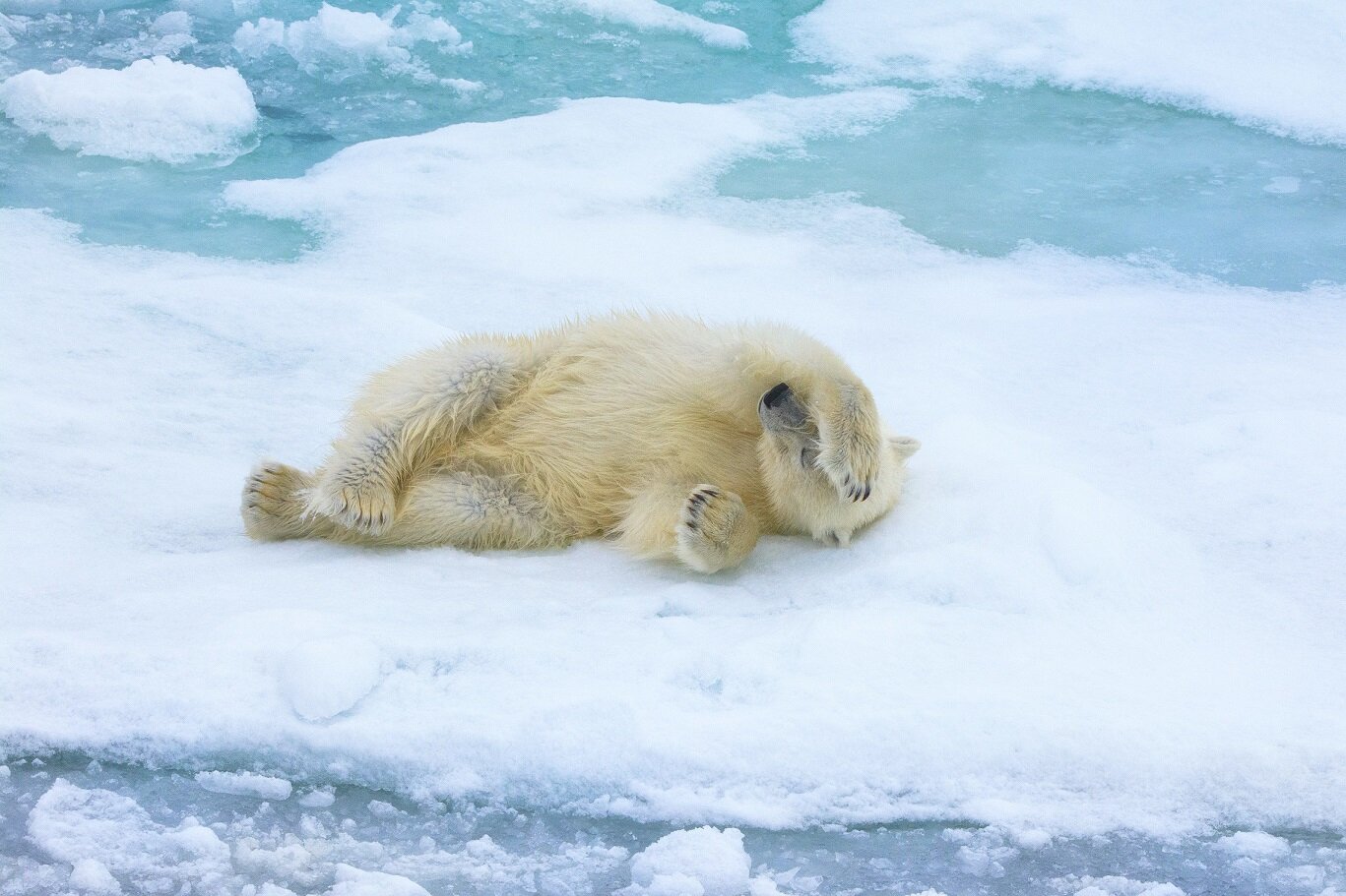 Snooze.jpg