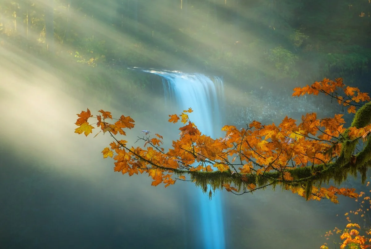 Autumn's Embrace.jpg