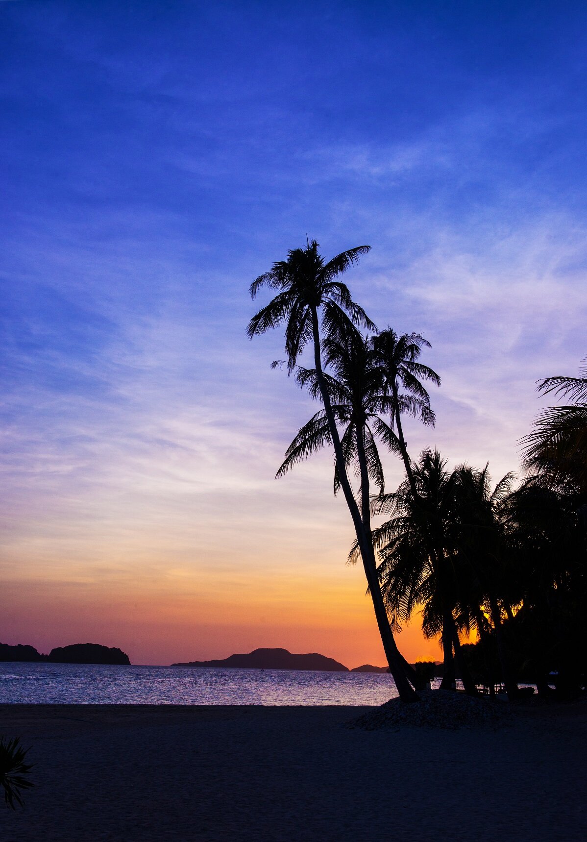 Philippine Bliss.jpg