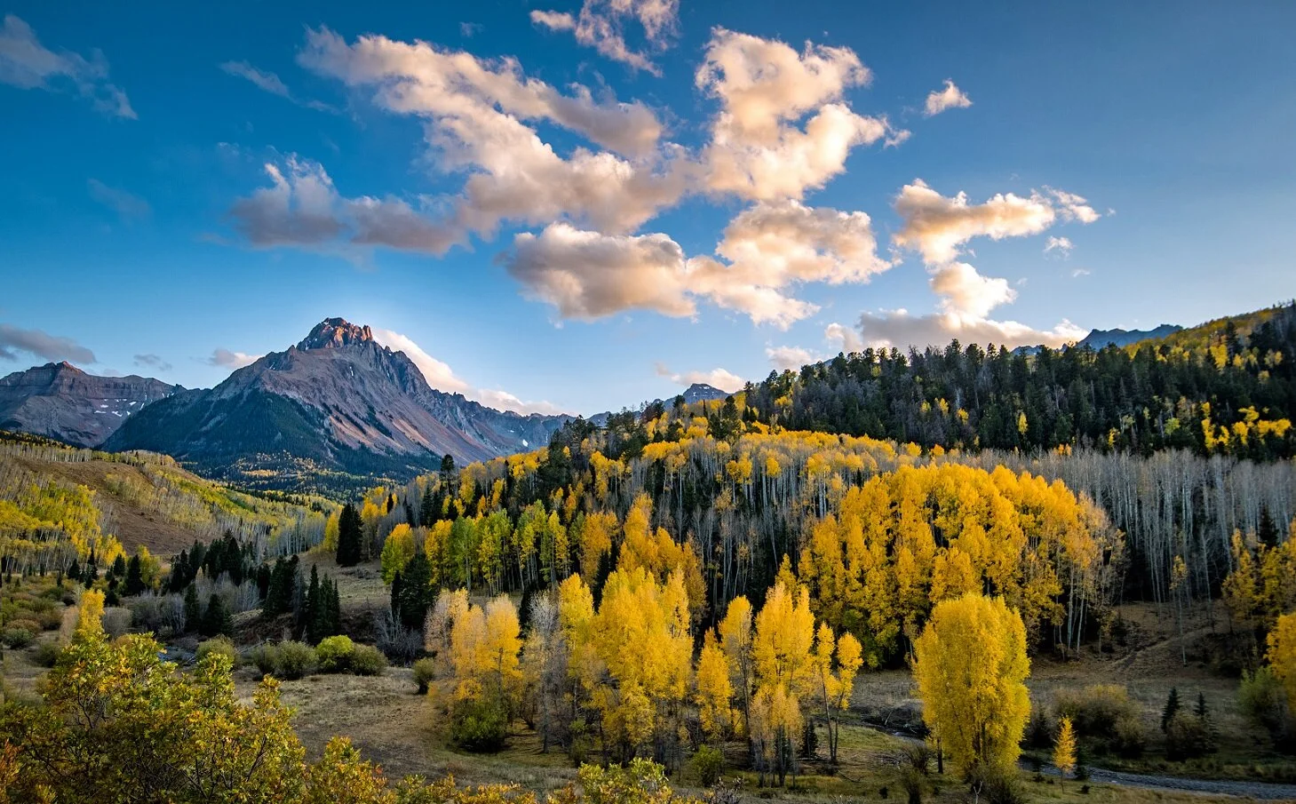 Autumn Glow.jpg