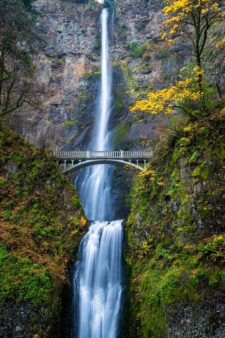 Multnomah Autumn.jpg