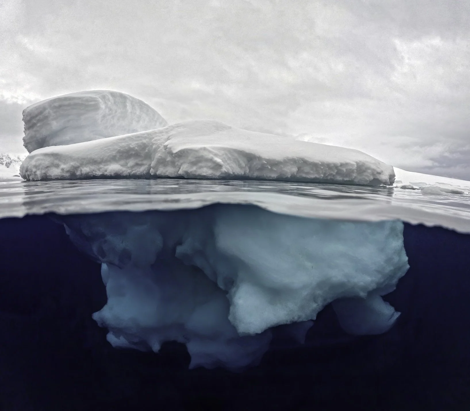 The Iceberg.jpg