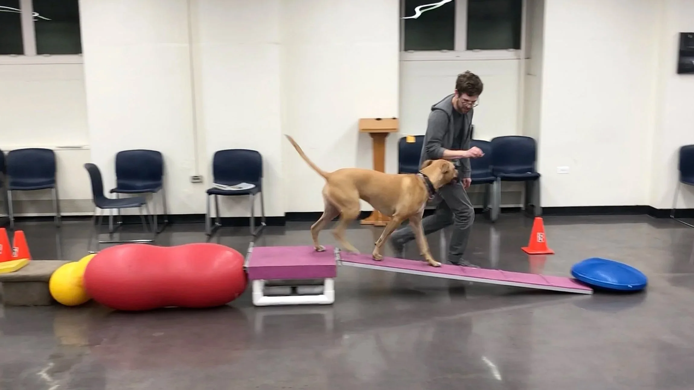 Agility Training