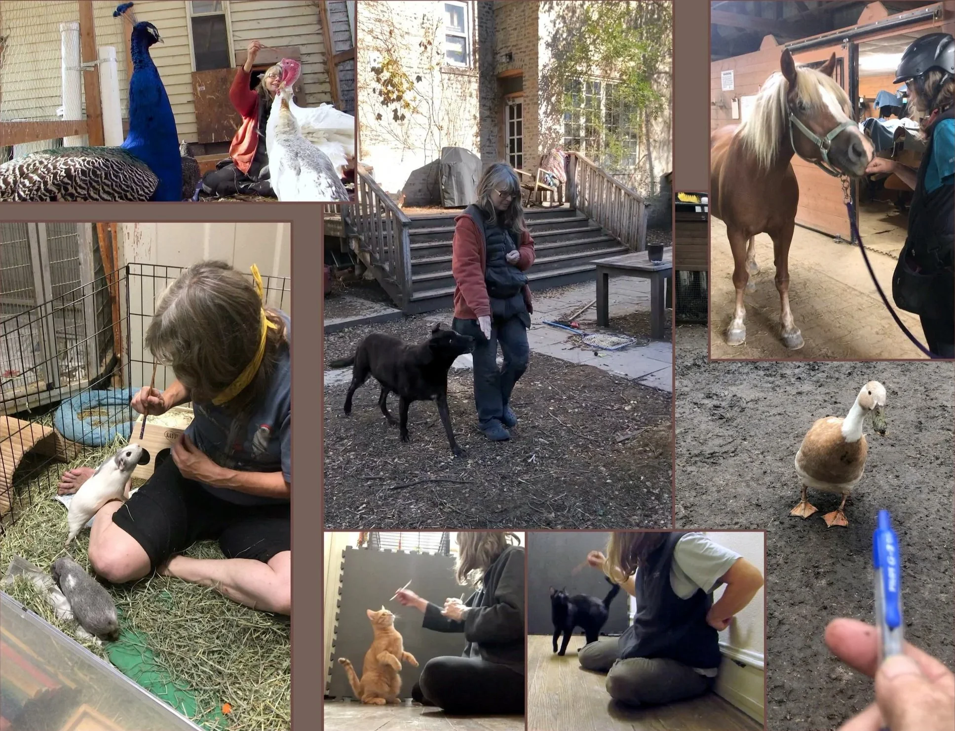 Jane Masterson, Ph.D.