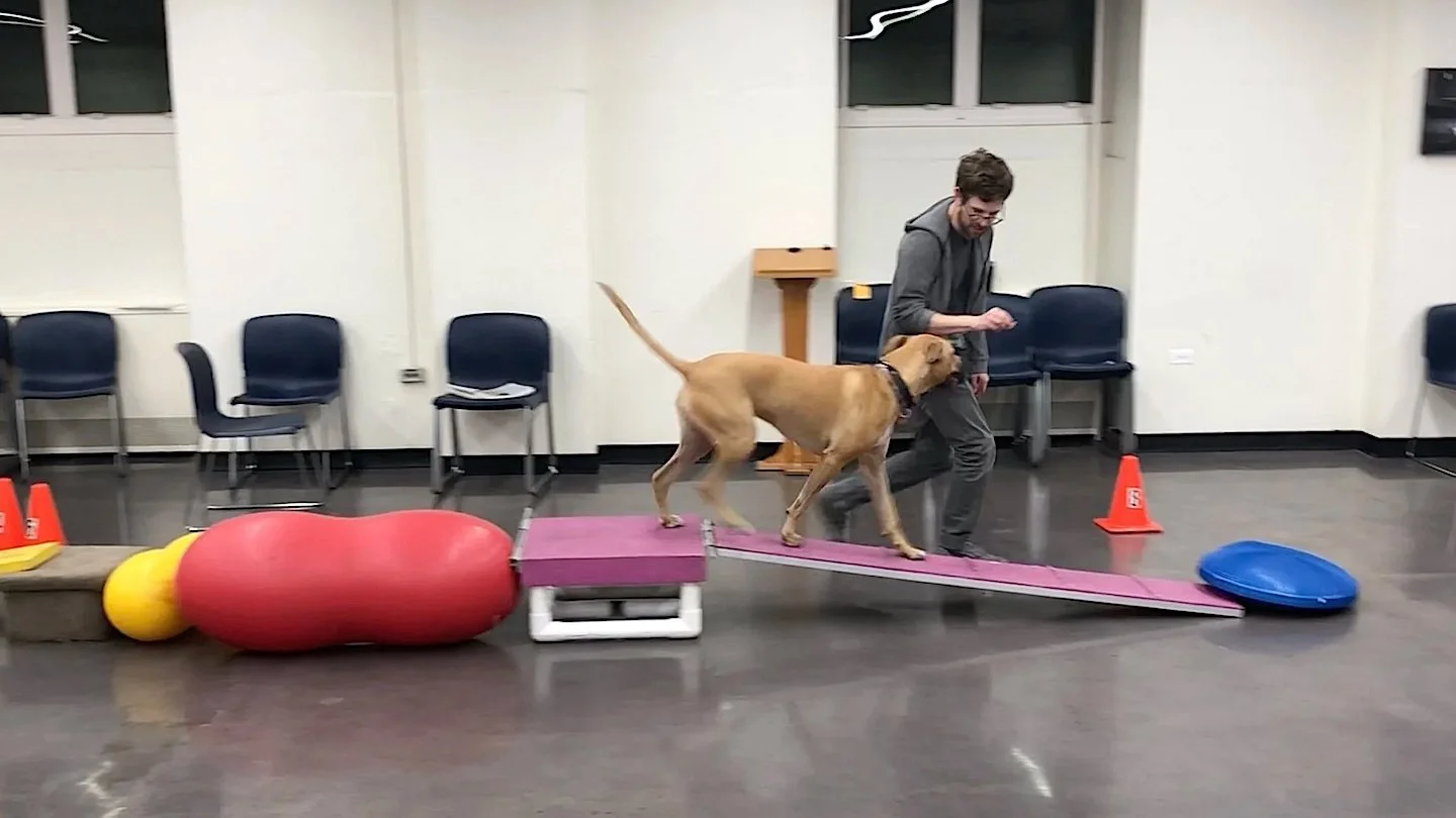 Agility Training