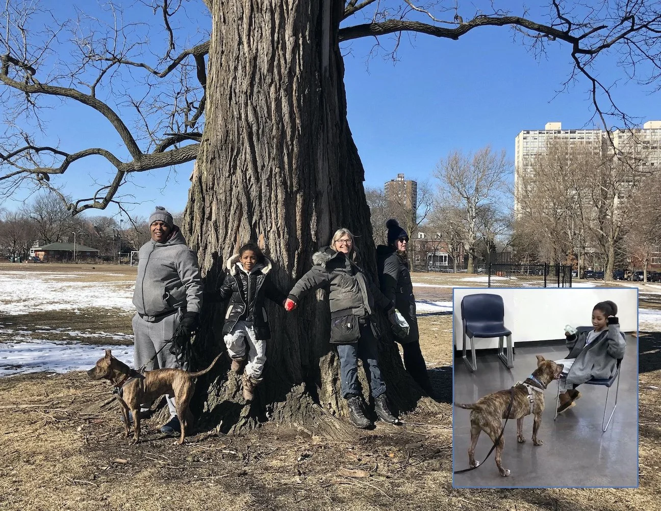 Dog training