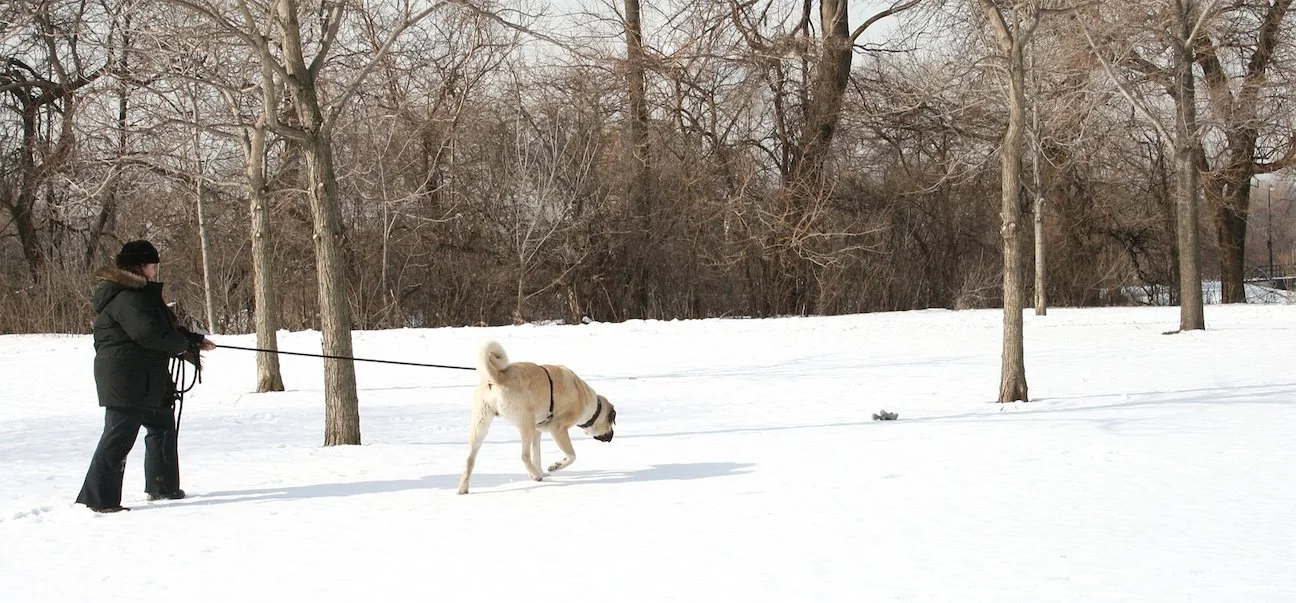 Tracking