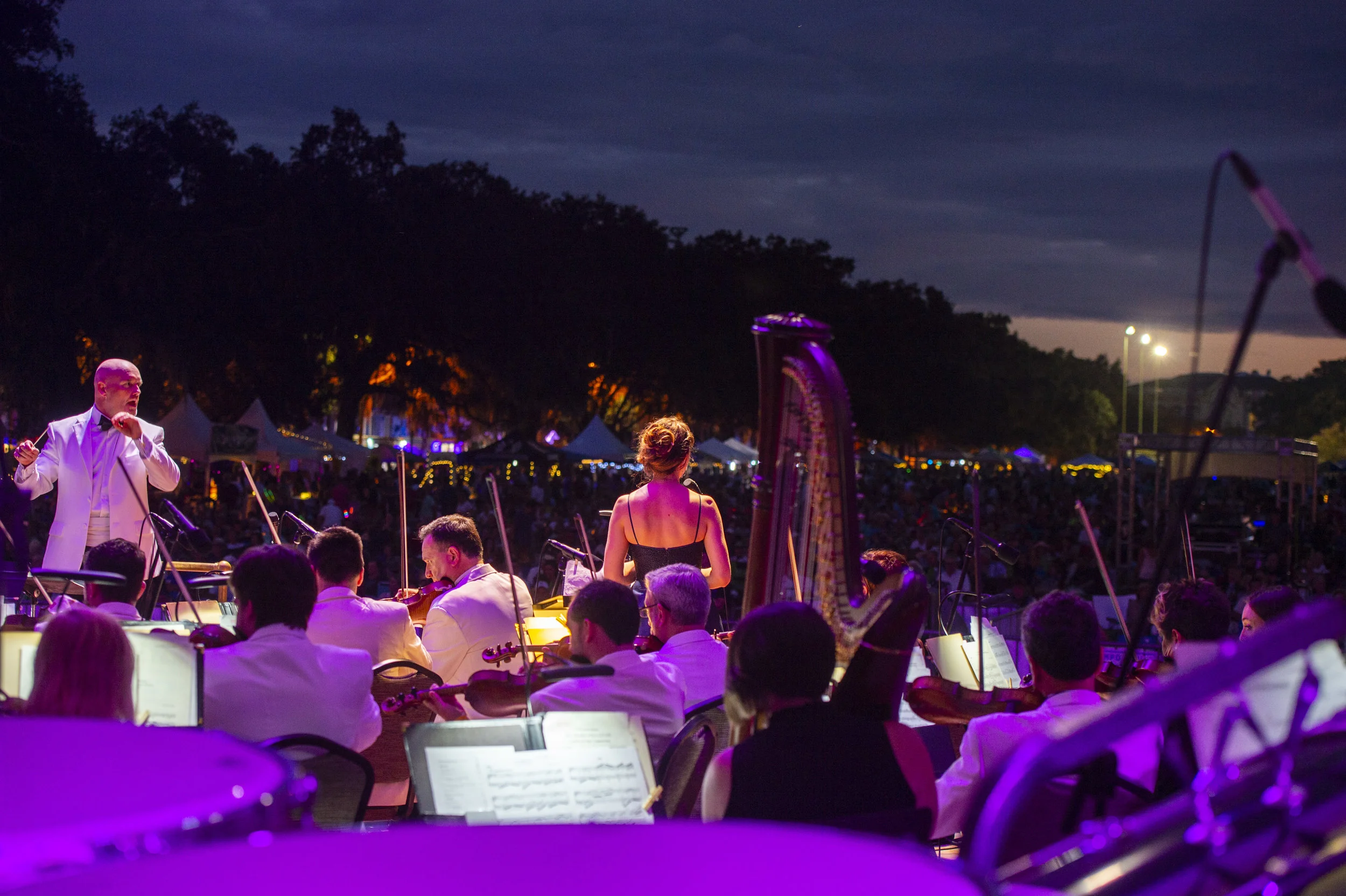 Geoff L Johnson - Picnic in the Park, Savannah Philharmonic