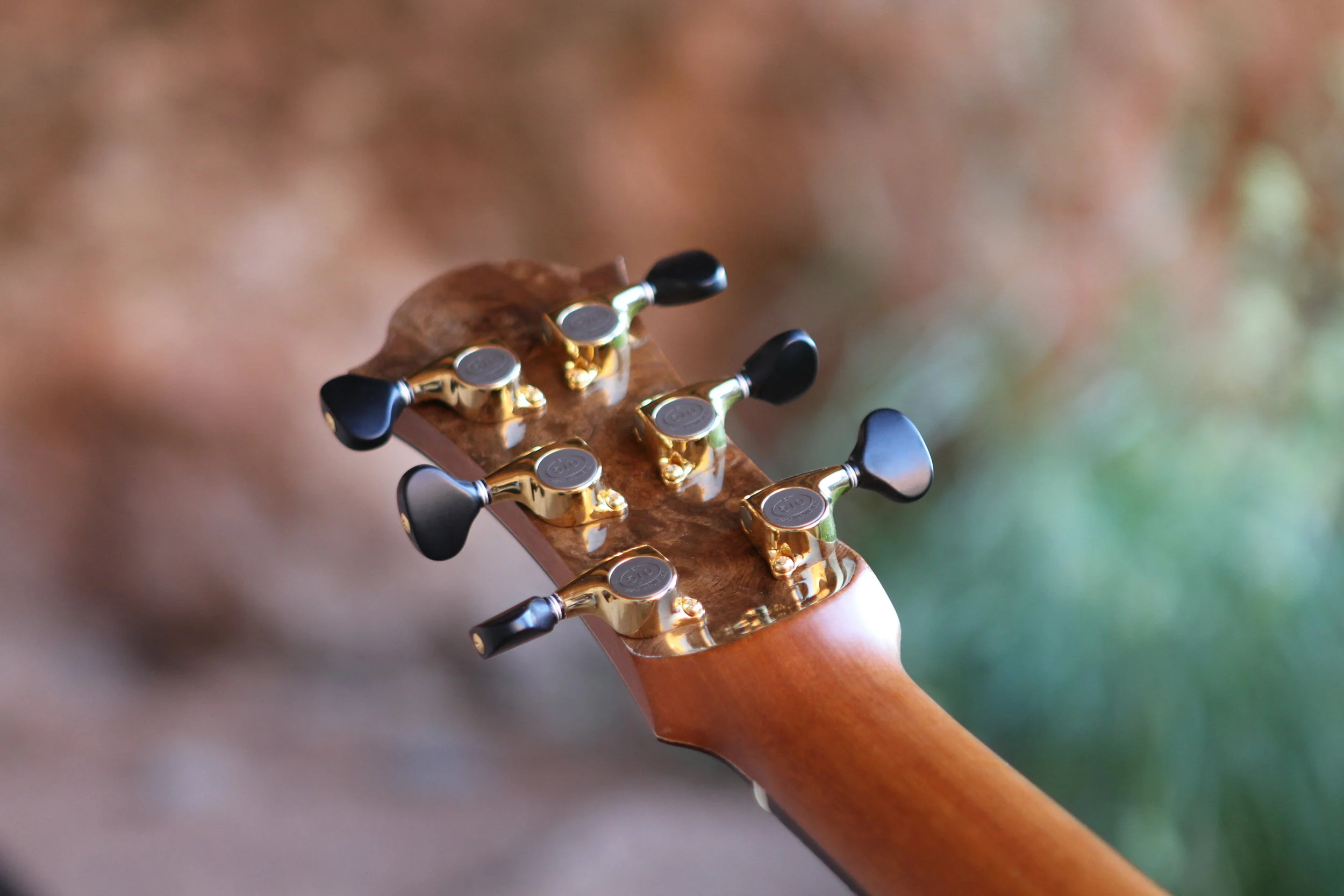  Walnut burl on the back of the headstock on the Botanic model 