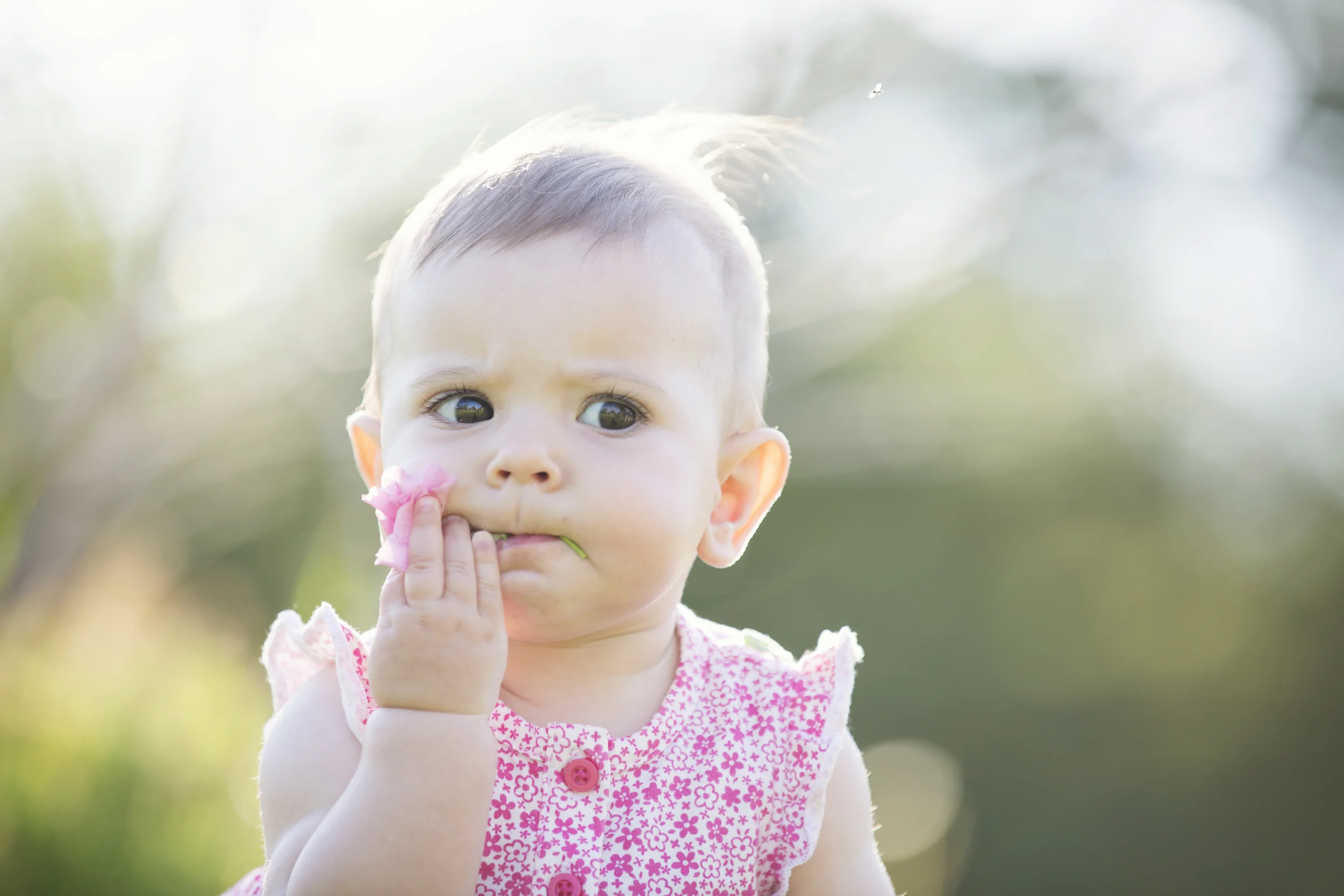Duluth, MN Natural Light Family and Children Photographer 06.jpg