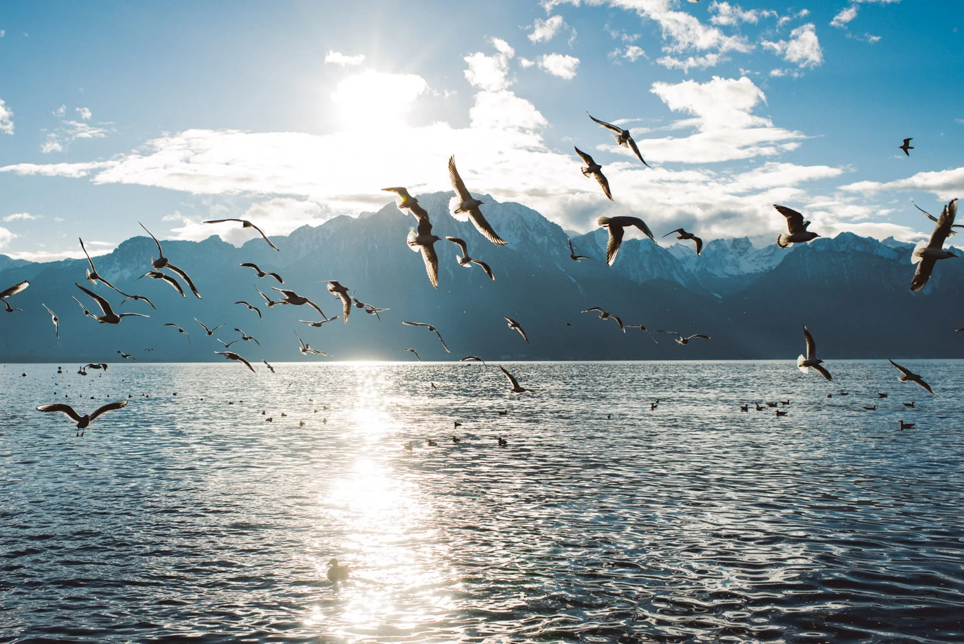 Montreux II