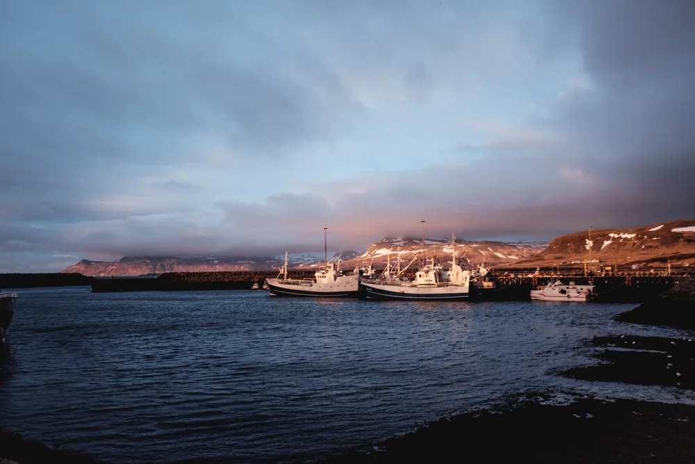 Fishing Boats