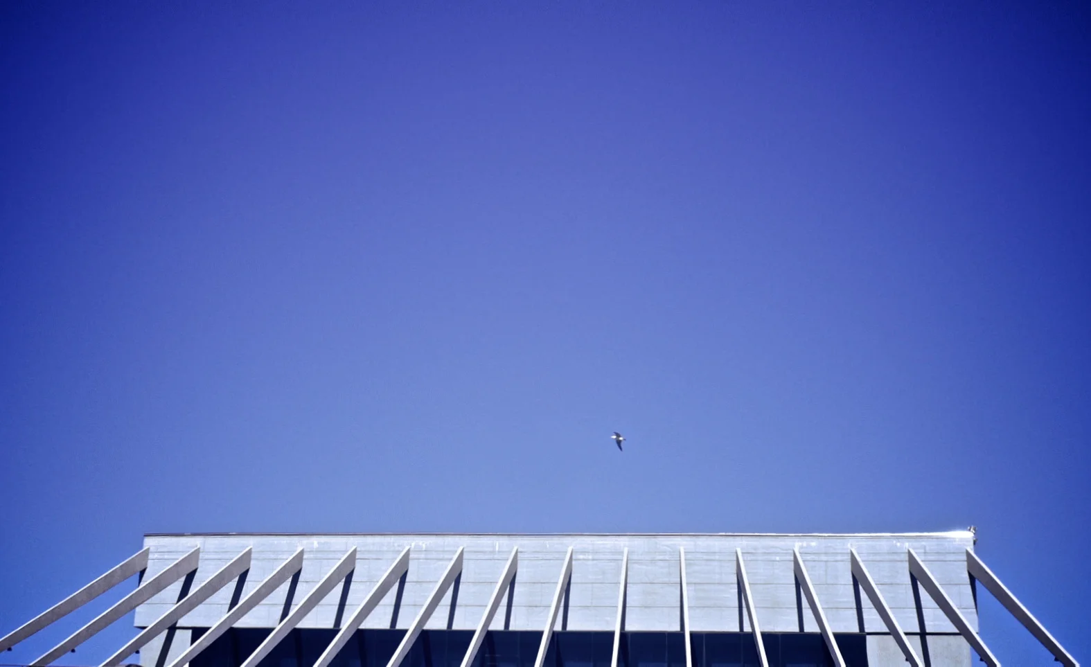 Barcelona 550 (2005).jpg
