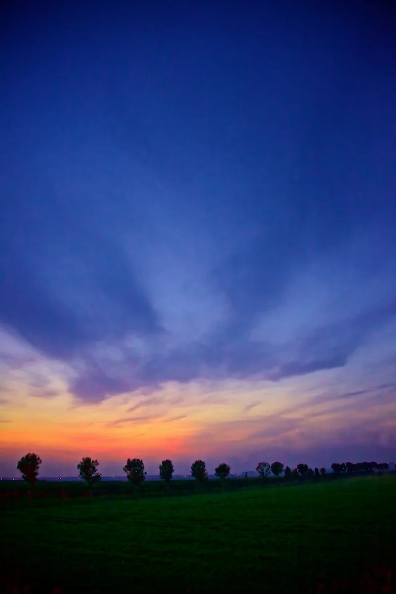 Doel 251 (18-06-2013).jpg