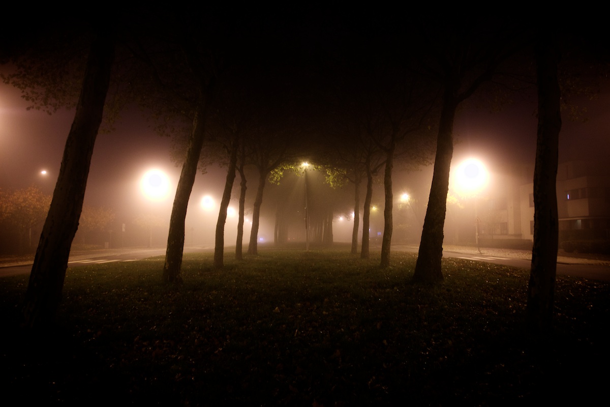 Mist 374 (16-11-2013).jpg