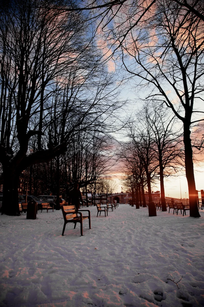 Sneeuw 76 (2009).jpg