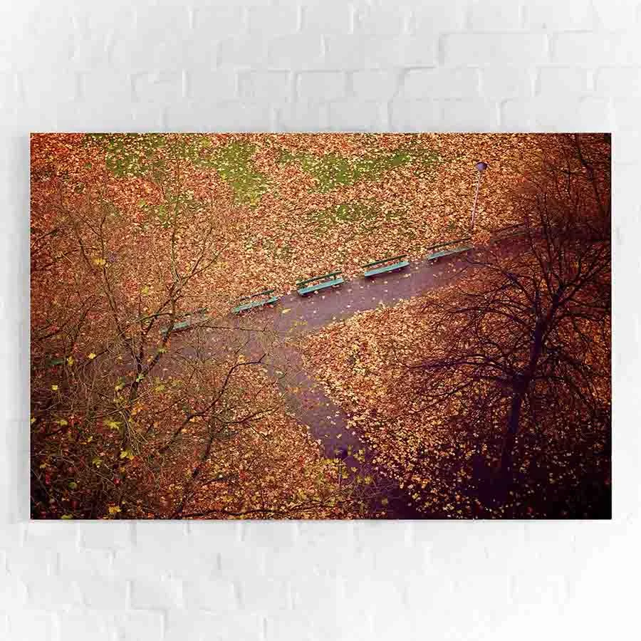Look Down n°4.jpg