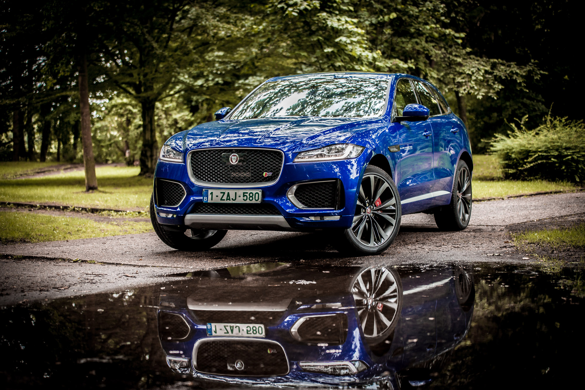 STERCK_A_11_test_f-pace-228.jpg