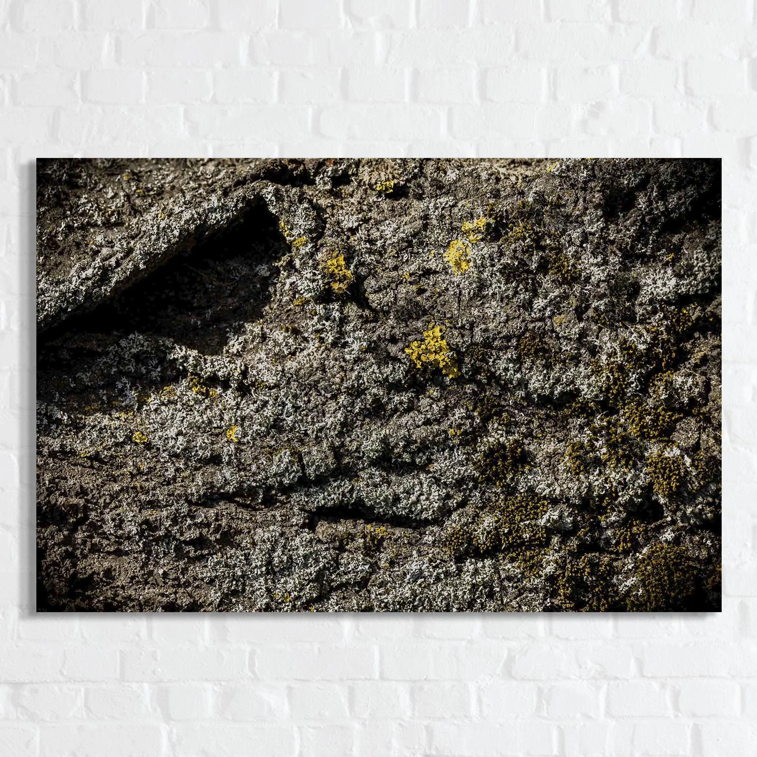 Look Close n°20.2.jpg