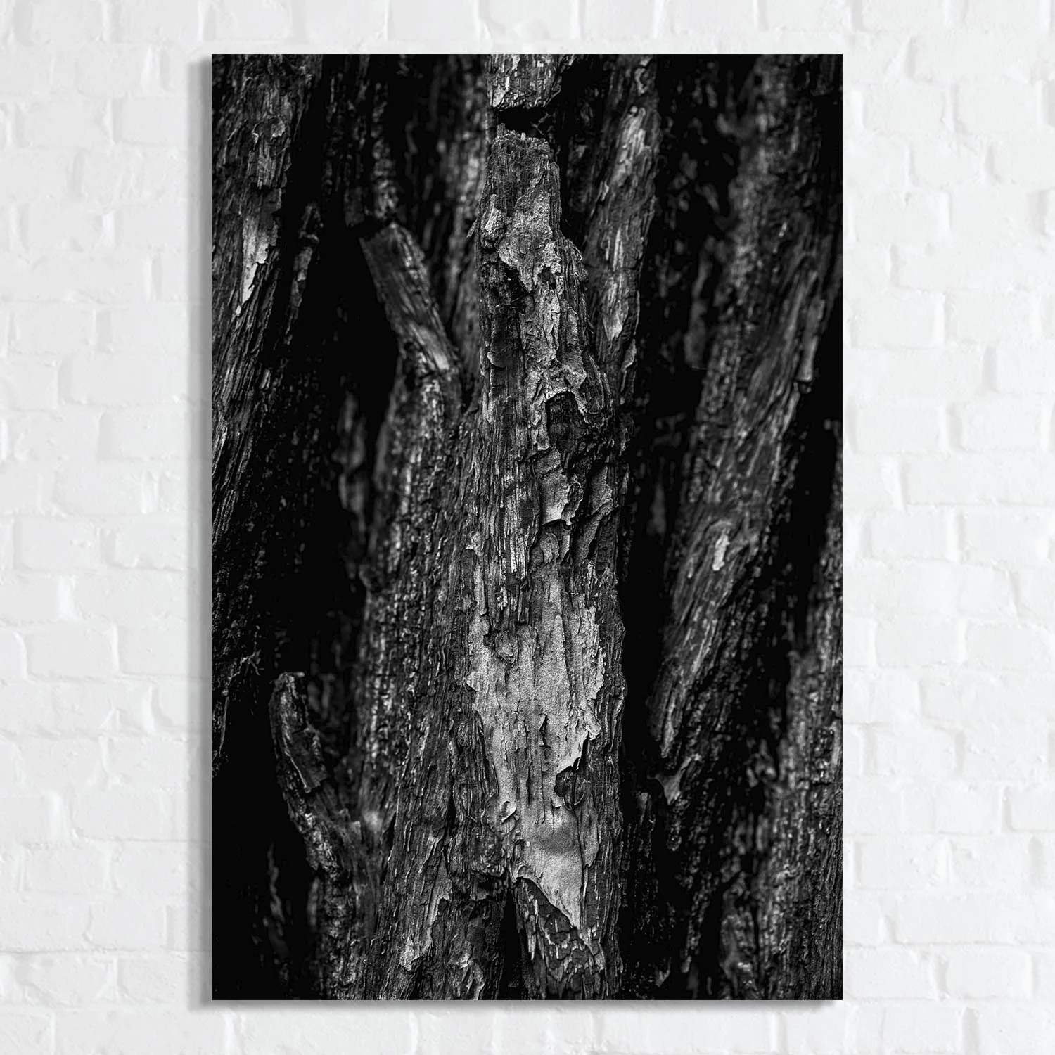 Look Close n°23.jpg