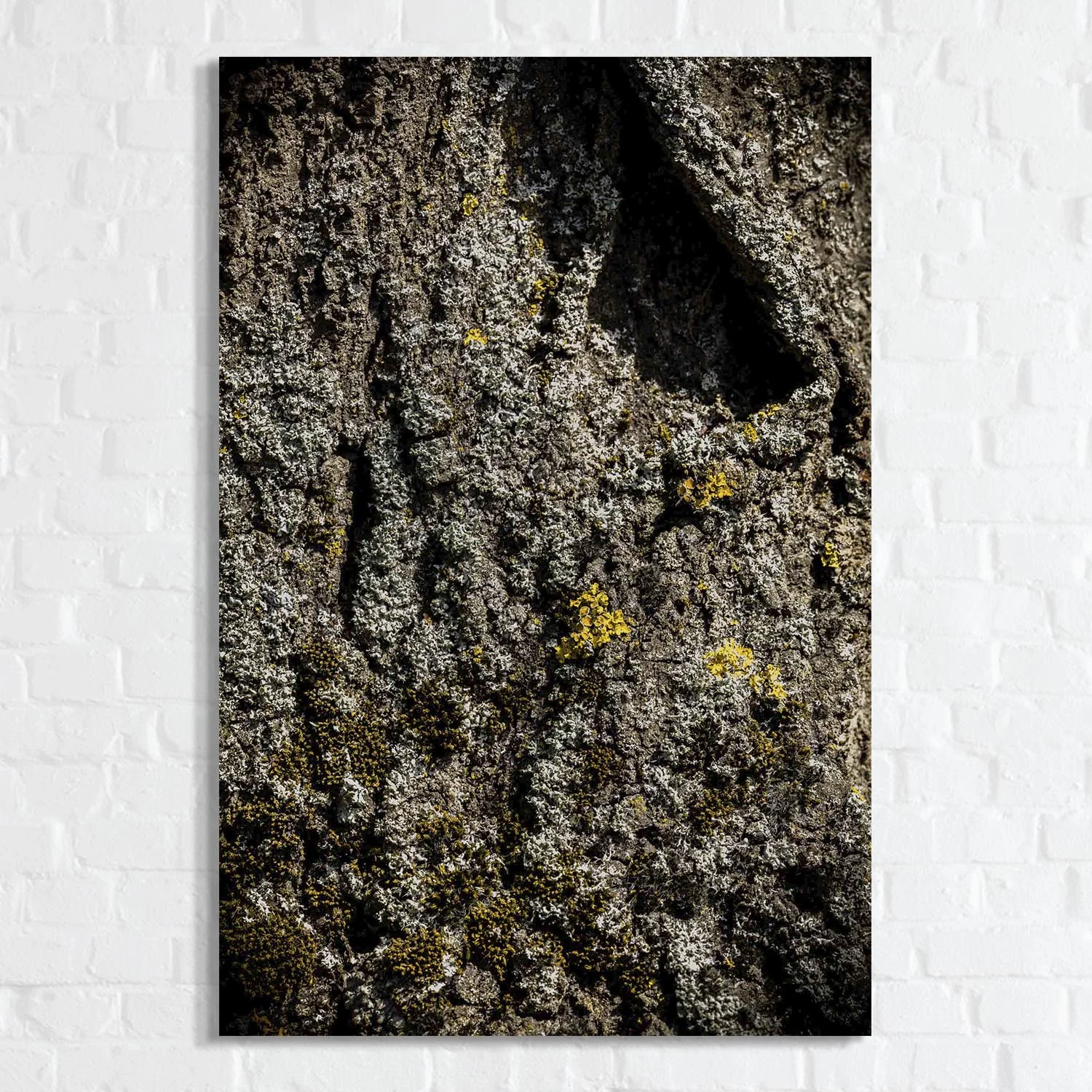 Look Close n°20.jpg