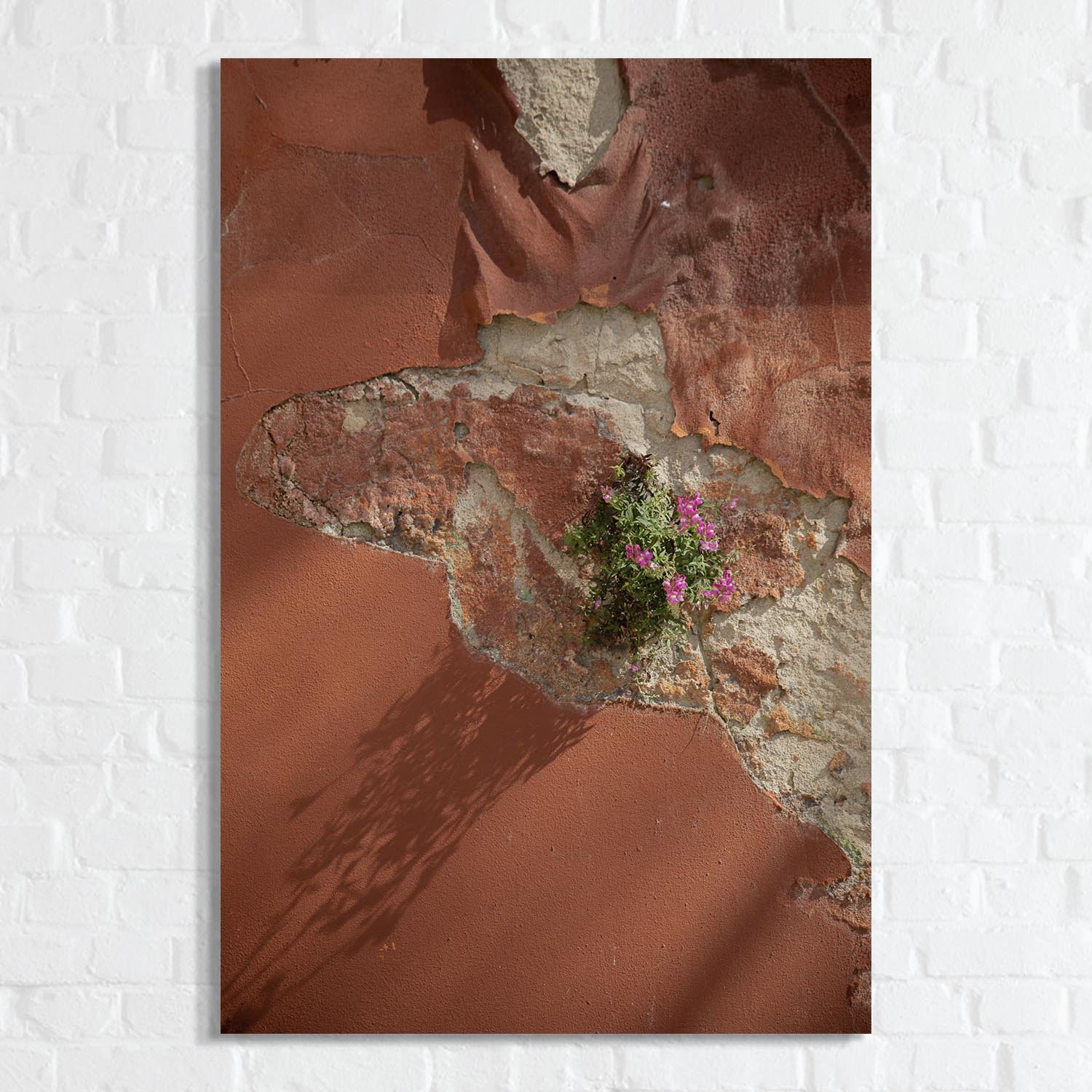 Look Close n°54.jpg