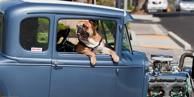 Air Conditioning vs Rolling Down the Window: Best Fuel Economy