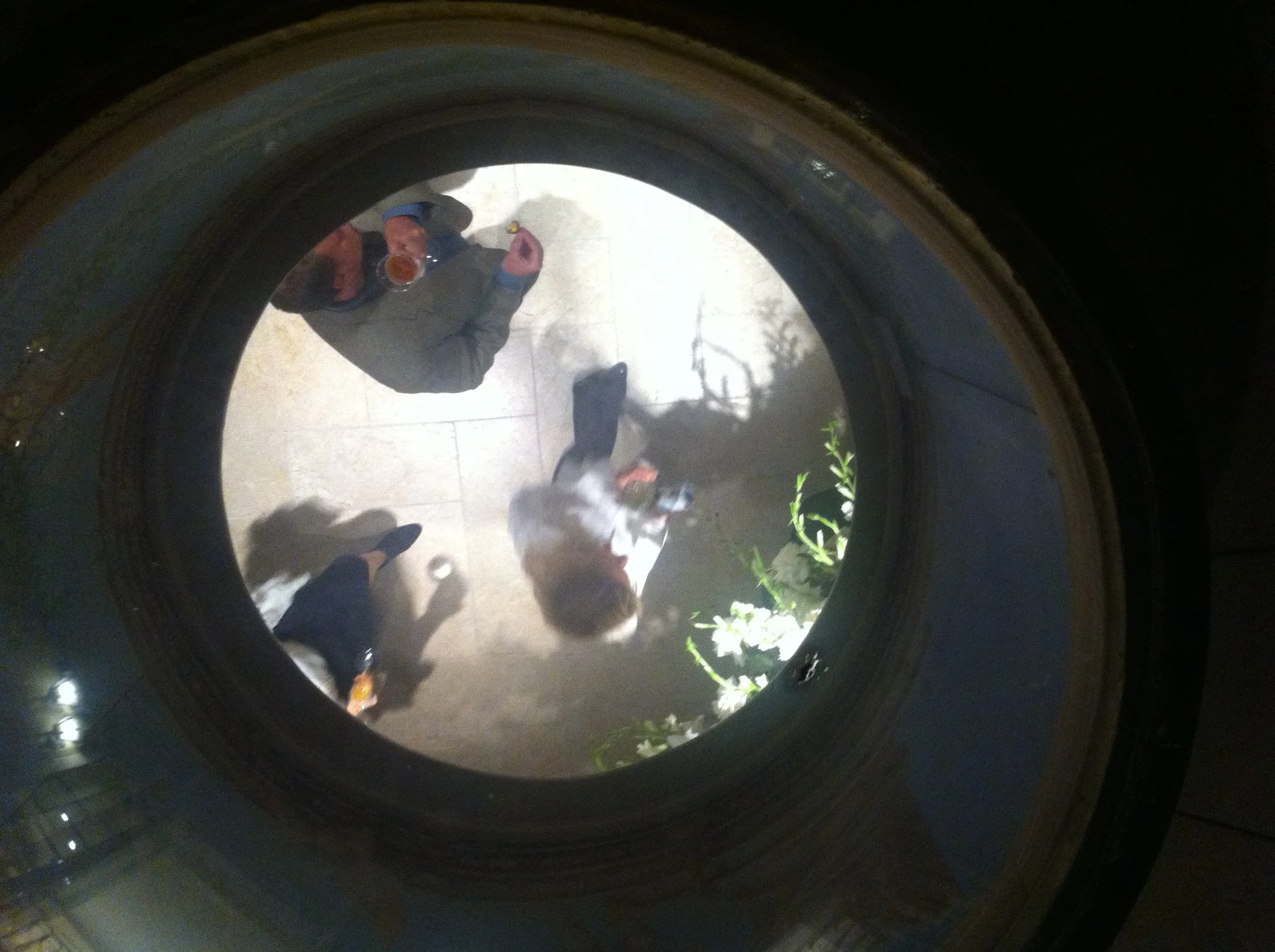 North Shore SkyLight