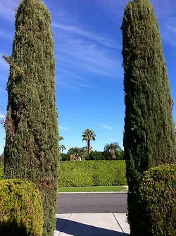 Palm Springs