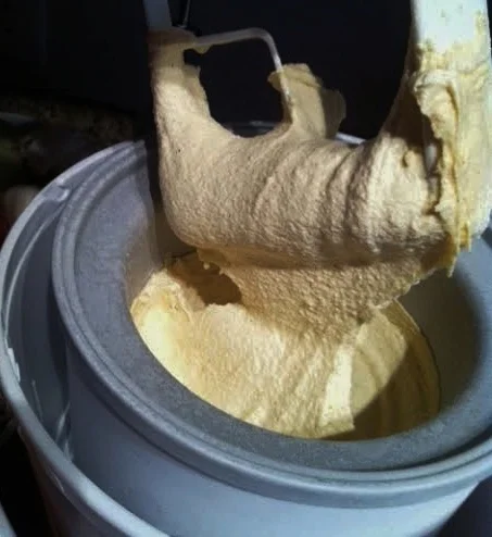 egg nog ice cream.jpg