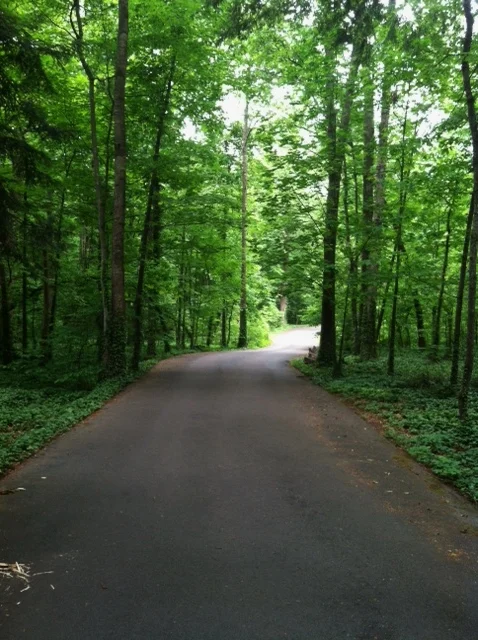Tennessee Walking Path.jpg
