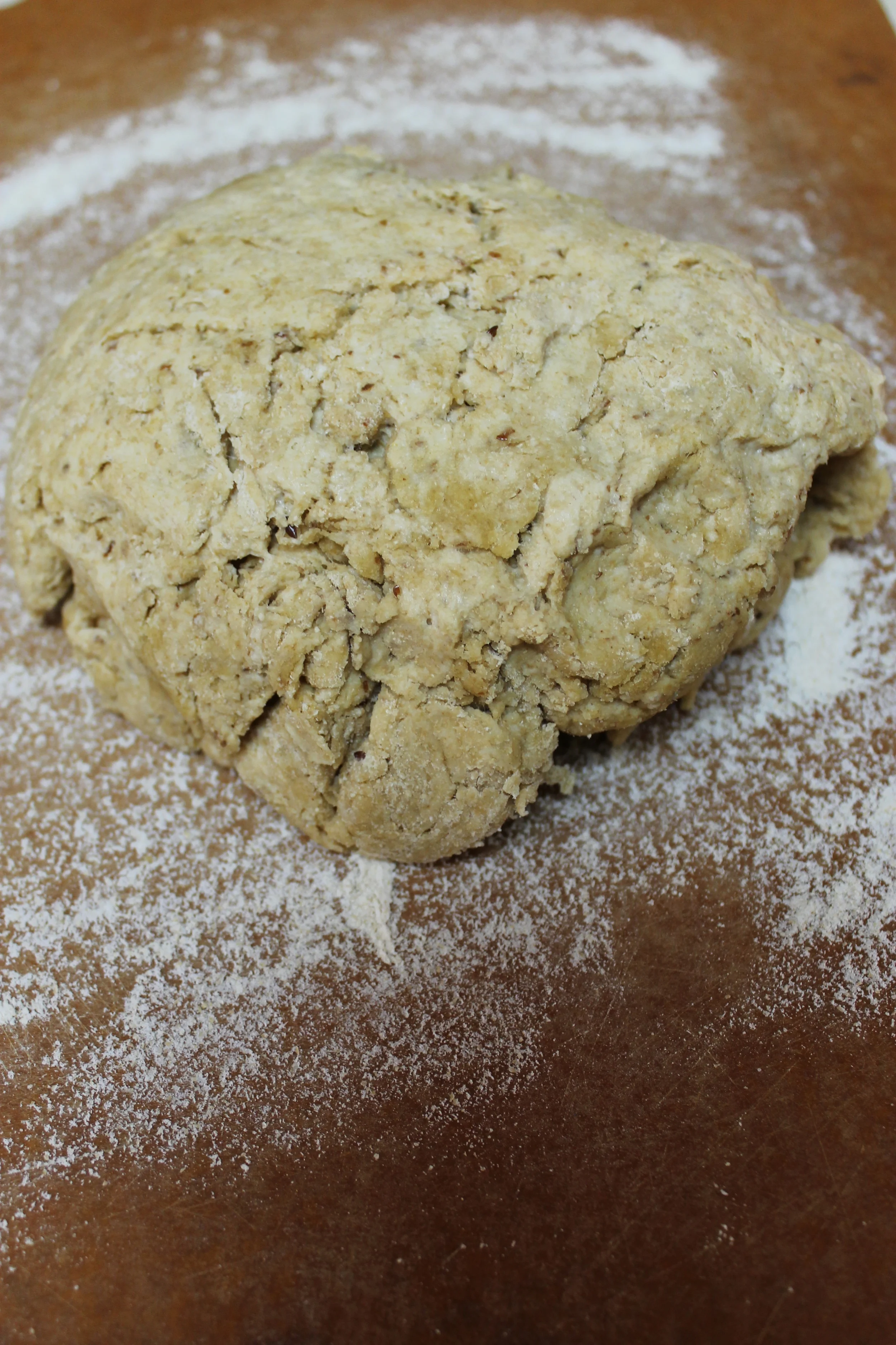 whole wheat dough.jpg