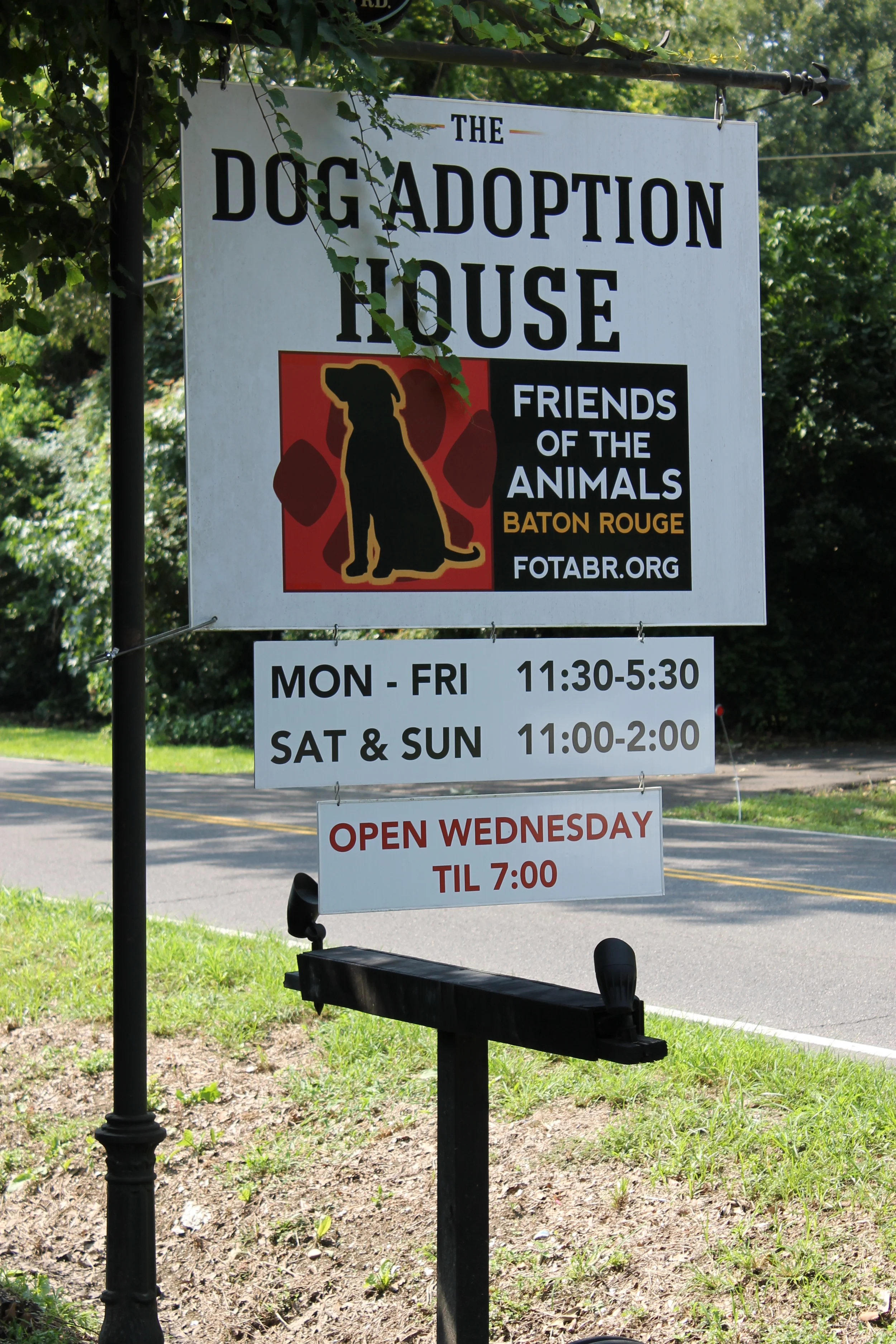 The Dog Adoption House.jpg
