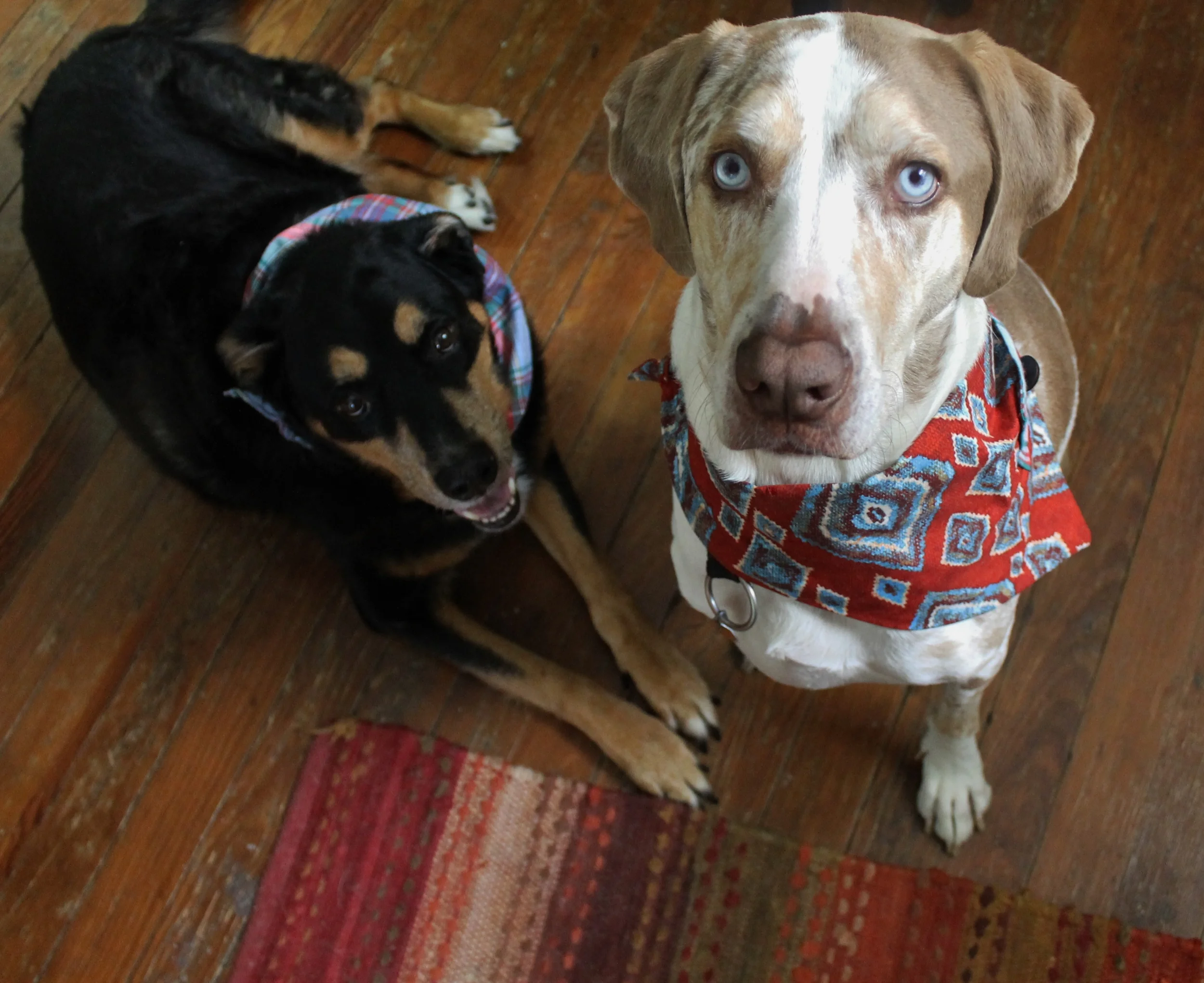 Amos and Rutledge.jpg
