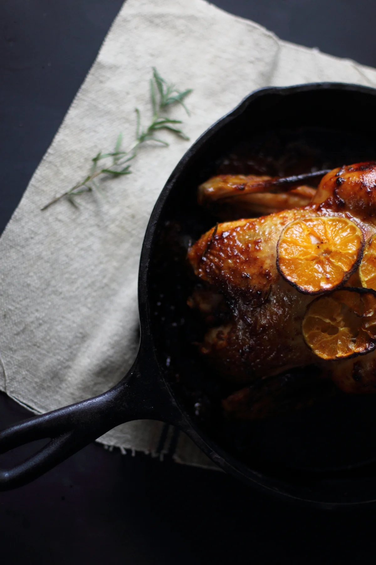 Roasted Chipotle, Satsuma, and Rosemary Chicken — My Diary of Us