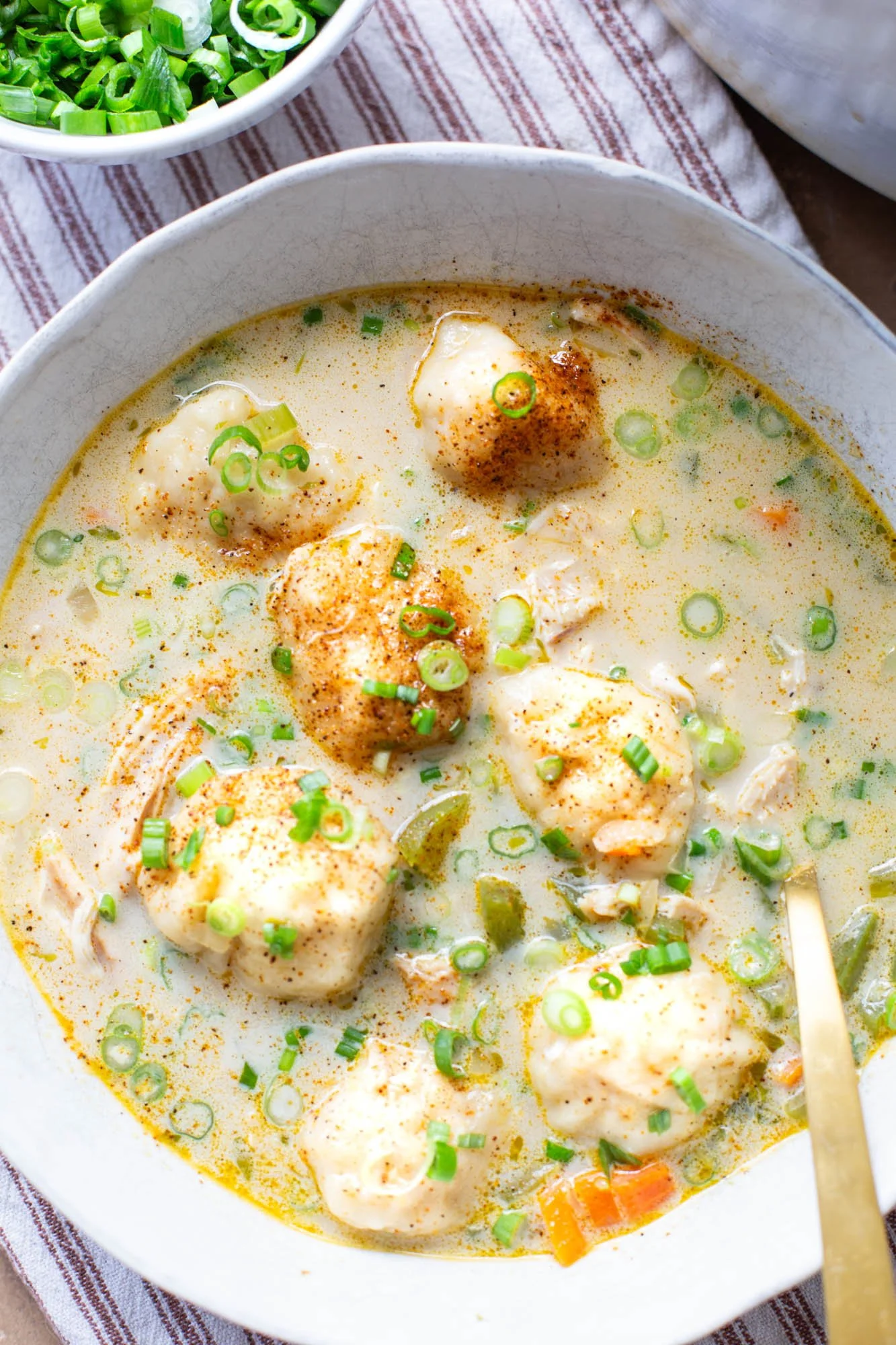 Serving bowl of Cajun chicken and dumplings.