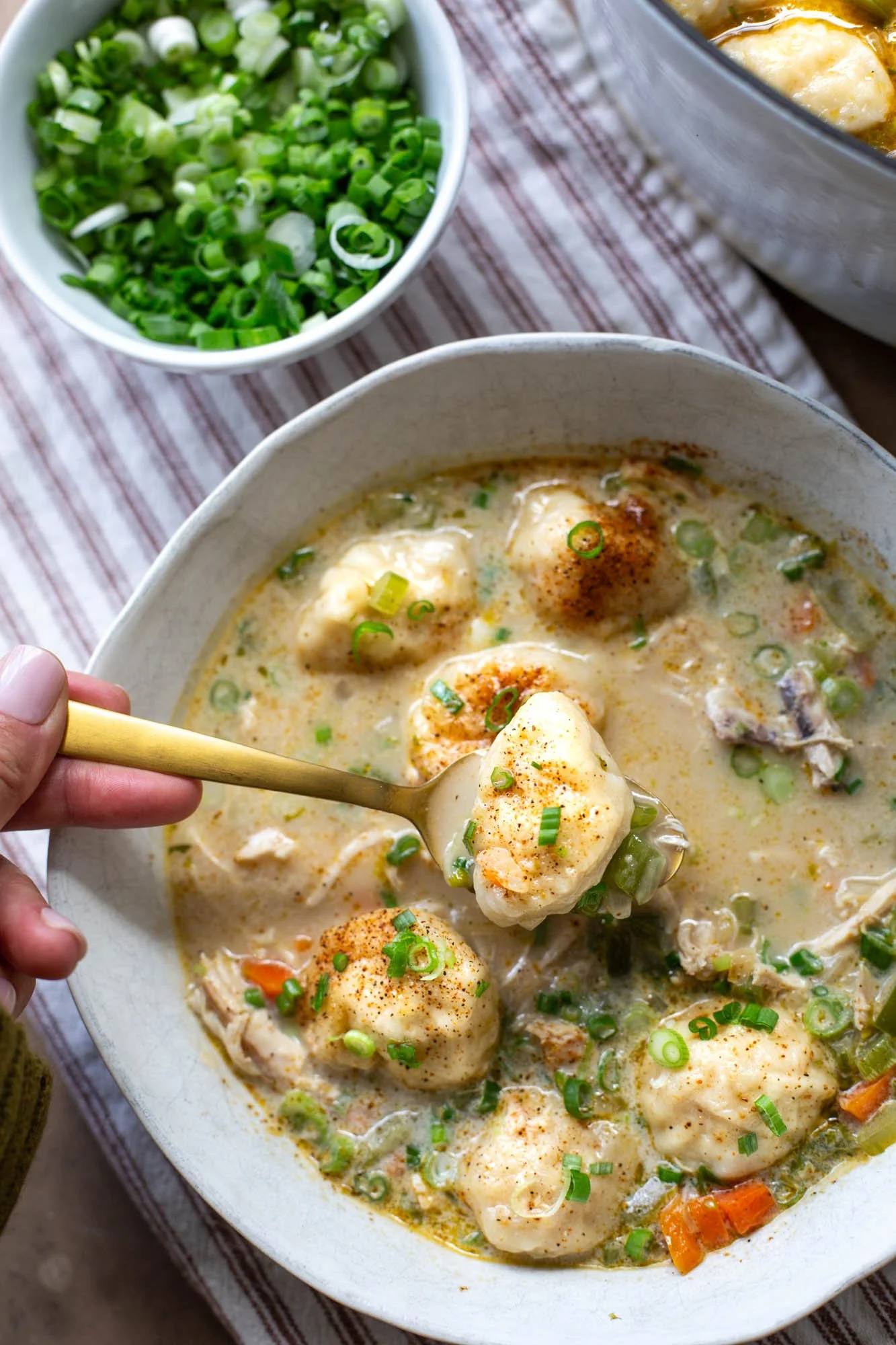 A spoonful of Cajun chicken and dumplings.