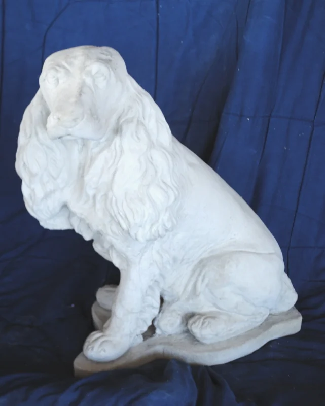cocker-spaniel--lg.jpg