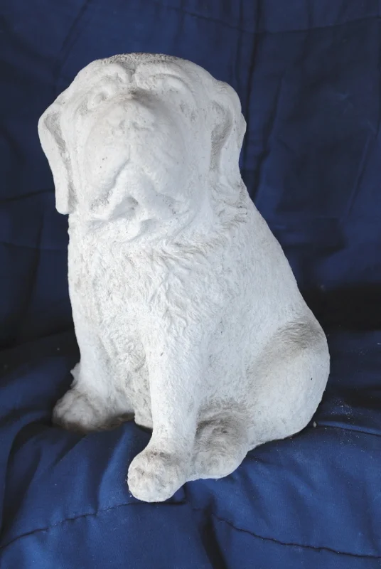 lab-puppy.jpg