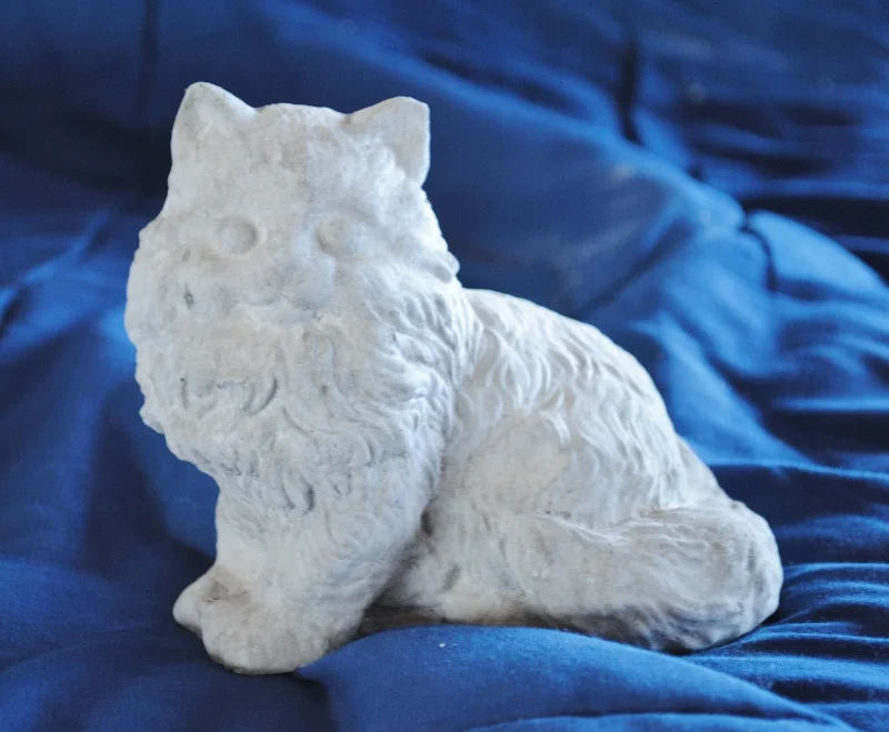 Furry Cat, small sitting