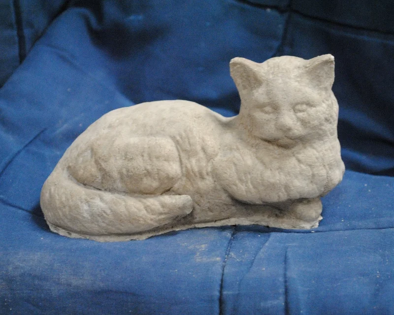 Small Laying Cat
