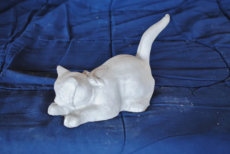 Climbing Cat